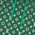 Hoodie Louis Vuitton LV Green Monogram Gradient - Image 5