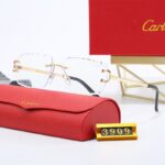 Sunglasses Cartier CTR007 - Image 4