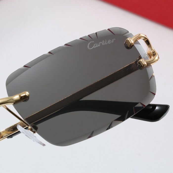 Sunglasses Cartier CTR007 - Image 9