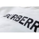 Burberry Chest Logo Hoodie BY022 - Image 9