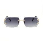 Sunglasses Cartier CTR007