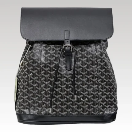 Goyard Alpin MM Backpack Black Bag GYD011 - Drip Slum