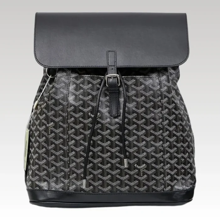 Goyard Alpin MM Backpack Black Bag GYD011 - Drip Slum